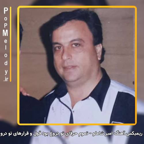 دانلود آهنگ امیر شاملو تموم حرفای تو دروغ بود قول و قرارهای تو دروغ بود